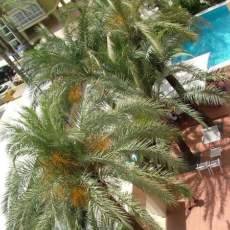 Hotel El Palmeral Benidorm Kültér fotó